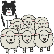 牧羊犬(ボーダー・コリー)が羊をまとめるイラスト