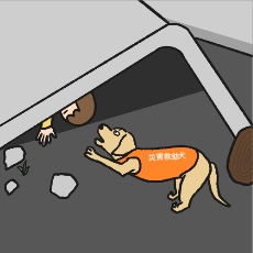 瓦礫の下から人を発見する災害救助犬のイラスト