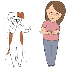 犬アレルギーで困っている女性に申し訳なさそうなミックス犬のイラスト