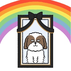 虹の橋を渡った愛犬(シー・ズー)のイラスト